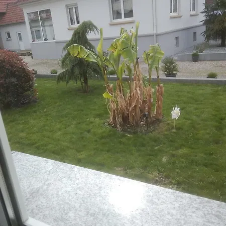 Agreable Et Atypique, Renove, Wifi, Terrasse, Jardin * Schleithal