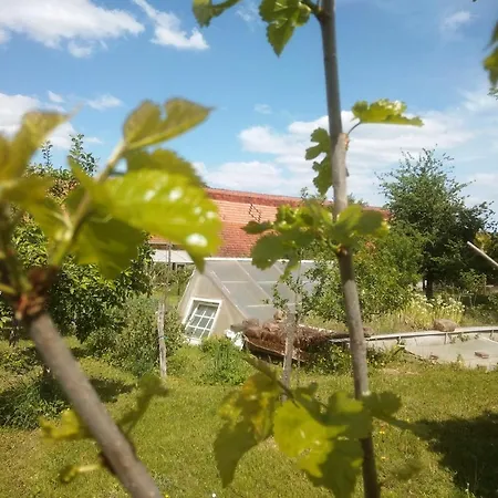 Agreable Et Atypique, Wifi, Terrasse, Jardin Schleithal