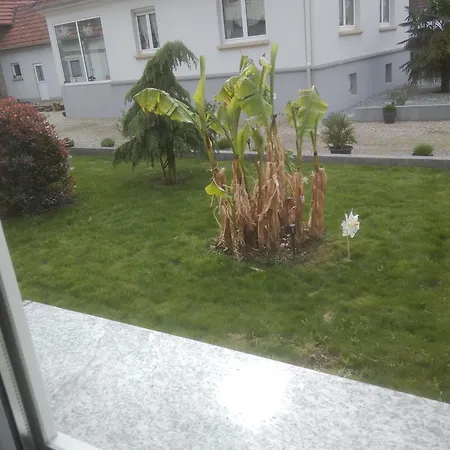 Et Atypique, Wifi, Terrasse, Jardin Apartment *