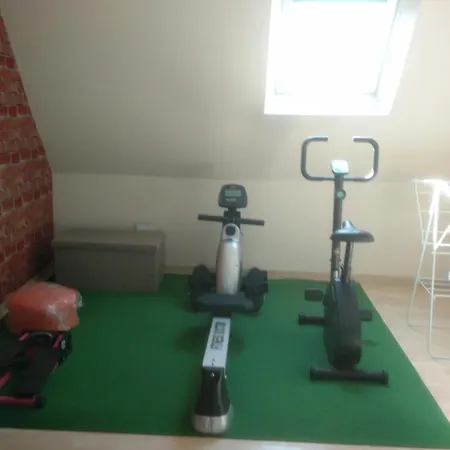 Appartement Charmant Et Atypique, Wifi, Terrasse, Jardin * Schleithal