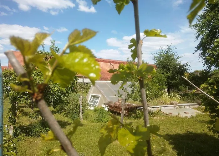 Et Atypique, Rénové, Wifi, Terrasse, Jardin Schleithal